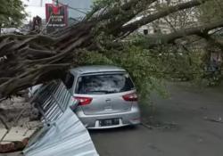 Hujan Deras Disertai Angin Kencang Terjang Semarang Sore hingga Malam Ini, Waspada Pohon Tumbang!