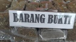 Ganja 5,4 Kg Lolos dari Bandara Sentani, Digagalkan di Sorong!