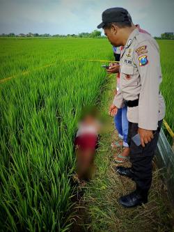 Pria Tanpa Identitas Ditemukan Tewas di Sawah Wonosari, Diduga Tersengat Listrik