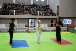 Ratusan Pesilat Berlaga di Kejuaraan Pencak Silat Piala Bupati Purbalingga 2025