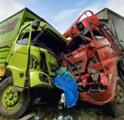 Dua Truk Kontainer, Adu Moncong di Jalan Raya Pantura Probolinggo