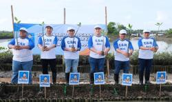 Dukung Keberlanjutan, ACC Tanam 1.000 Mangrove di  Arboretum Park Bali