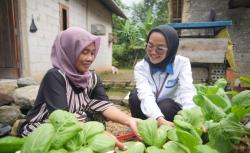 Rumah Pangan PNM, Berdayakan Nasabah untuk Dukung Asta Cita