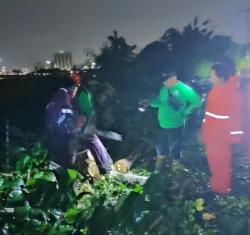 Hujan Lebat Disertai Angin Kencang, 10 Pohon di Jalan Raya Tumbang