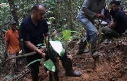 Jasad Wanita Ditemukan di Hutan Sorong, Polisi Duga Korban Pembunuhan