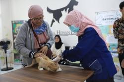 Pemkot Tangerang Gelar Vaksinasi Rabies Gratis, Berikut Syaratnya