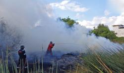 Masuk Musim Kemarau, BPBD Kobar  Sudah Tangani 47.725 Hektare Lahan Terbakar