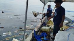 Semangat Gotong Royong di Raja Ampat: 3,5 Ton Sampah Plastik Berhasil Dibersihkan dalam Pekan Bersih