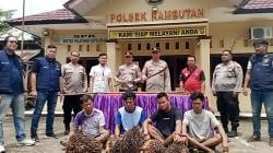 Buser Polsek Rambutan Ringkus Empat Pencuri Buah Sawit di Desa Baru Banyuasin