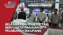 Polresta Barelang Temukan Belasan Ribu Benih Lobster Tak Bertuan di Pelabuhan