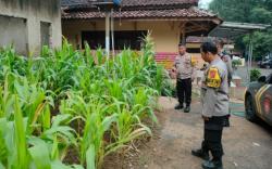 Dukung Ketahanan Pangan, Polsekta Subang Manfaatkan Lahan Pekarangan