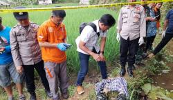 Pengepul Ayam di Tasikmalaya Ditemukan Meninggal di Selokan Sawah 