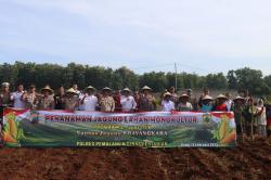 Polres Pemalang Sulap 1,5 Hektar Lahan Tidur Jadi Kebun Jagung