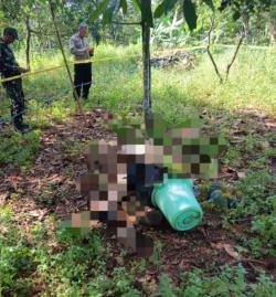 Pensiunan Pertamina Ditemukan Tewas di Kebun di Purwakarta, Kata Polisi Diduga Ini Penyebabnya