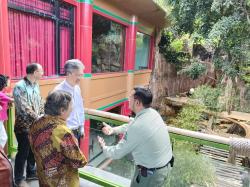 Duta Besar Tiongkok Jenguk Giant Panda di Taman Safari Indonesia