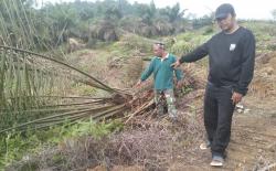 PTUN Jakarta Kabulkan Gugatan PT SKB Terkait IUP Operasi Produksi PT GPU