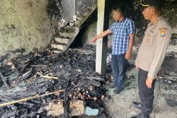 Rumah dan Kios di Ponorogo Terbakar Gegara Ulat Bulu