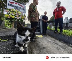 PAF, Klub Foto Tertua di Indonesia Kini Genap Berusia 101 Tahun