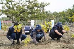 Relawan Bakti BUMN Tanam 1.000 Pohon Mangrove di Donggala untuk Mitigasi Abrasi