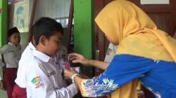 Baru Masuk Kelas, Siswa SDN 4 Pingkuk Sudah Merasa Gatal-gatal karena Terserang Hama Ulat Bulu