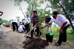 HPN 2025: PWI Gresik Kolaborasi Tanam Ratusan Pohon Produktif, Cegah Bencana Alam