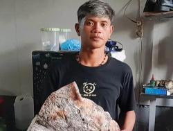 Harga Ambergris Paus Rp650 Juta perkilo di 2025, 2 Nelayan Poigar Bisa Kaya Mendadak