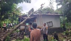 Pohon Tumbang Timpa Rumah Warga di Banjar gegara Hujan Deras dan Angin Kencang