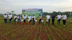 Pupuk Indonesia Beri Pendampingan Petani Dengan Program Makmur Demi Tingkatkan Kesejahteraan