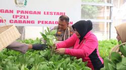 Launching Program  Pangan Lestari, Polres Pekalongan Tanam Sayur dan Budidaya Ikan