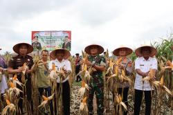 Panen Jagung Serentak, Polres Pidie Jaya Dukung Swasembada Pangan Nasional 2025