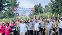 Ditengah Keterbatasan Sarana Polsek Tastim Panen Raya 10 Ton Jagung , Dukung Ketahanan Pangan