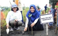 Hari Peduli Sampah Nasional, Wakil Walikota Probolinggo Tanam Mangrove