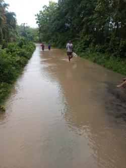 Luapan Sungai Besai Kembali Putus Akses Jalan di Kampung Kota Baru: Intensitas Hujan Tinggi