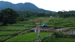 Menikmati Sensasi Andrenalin di Wisata Flying Fox Golo Loni, Flores