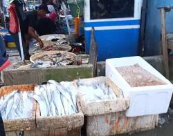 Jelang Ramadhan Nelayan Tak Melaut, Harga Ikan di TPI Binuangeun Naik