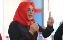 Legislator PDI Perjuangan Desak Audit Pengadaan BBM Pertalite RON 90 dan Pertamax RON 92