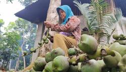Ramadan Membawa Berkah, Warga Pangandaran Raup Cuan dari Produksi Kolang-Kaling