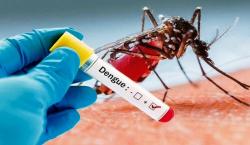 DBD dan Chikungunya Masih Mengancam Ciamis, 190 warga Terjangkit DBD, dan 54 Kasus Chikungunya