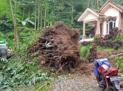 Waspadai Longsor Kecil di Tiris, BPBD Kabupaten Probolinggo Siagakan Tim