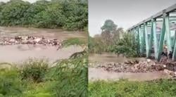 Viral Warga Bekasi Berebut Ayam Hanyut Akibat Banjir, Aksi Kocak Bikin Geleng Kepala!