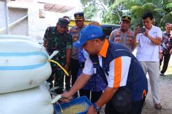 Panen Serap Gabah di Area Persawahan Desa Bulaksari Pekalongan, Dipantau Polres Dan Kodim Pekalongan