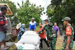 Serapan Gabah Ponorogo Masih Jauh dari Target Bulog, Ini Alasan Dandim