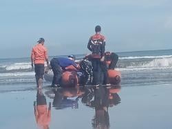 Pencarian Korban Tenggelam di Pantai Lumu Memasuki Hari ke-7, Belum Ditemukan