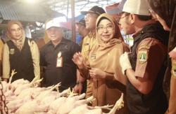 Waspada! Teri Nasi dan Cincau di Pasar Tradisional Pandeglang Mengandung Formalin!