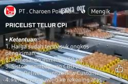 Waspada! Penipuan Penjualan Telur Murah lewat Medsos, Catut Nama Charoen Pokphand