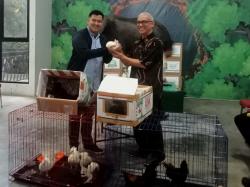 Semarang Zoo Perluas Kerja Sama dan Tambah Koleksi Satwa Jelang Lebaran