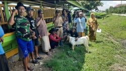 Warga Mutih Kulon Terima 30 Kambing, Tak Boleh Disembelih untuk Lebaran 