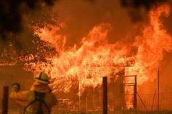 Toko Penjual Furnitur di Tanjungpinang Terbakar, Polisi Selidiki Penyebab