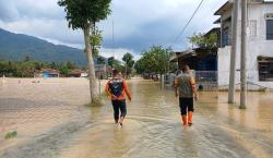 BPBD Kabupaten Tasikmalaya Catat Ratusan Hektare Sawah di Sukaresik Gagal Panen Terendam Banjir