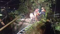 Hujan Deras Disertai Angin Kencang Landa Kota Tasikmalaya, Pohon Tumbang Timpa Rumah dan Tutup Jalan